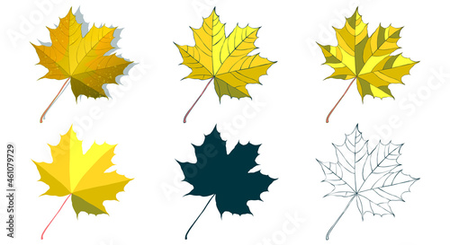 Hand-drawn gold maple autumn leaf collection isolated on white background. Cartoon flat-style vector illustrations.
