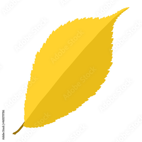 Single gold hand-drawn elm leaf in autumn color isolated on white background. Cartoon flat style vector illustration.