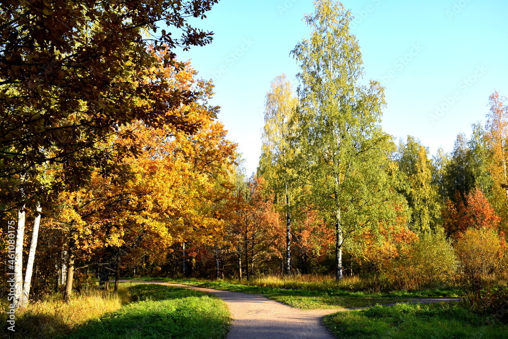 autumn in the park