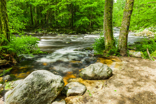 Wallpaper Mural Wanderweg an einem Fluss im Herbst Torontodigital.ca