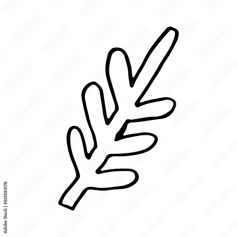 Doodle spruce tree branch line art. Forest nature. Hand drawn vector illustration. Christmas winter graphics simple sketch. Isolated design element. Doodle spruce tree branch line art. Forest nature. Hand drawn vector illustration. Christmas winter graphics simple sketch. Isolated design element.