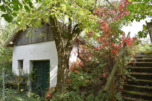 verwunschener, alter Weinkeller im Herbst