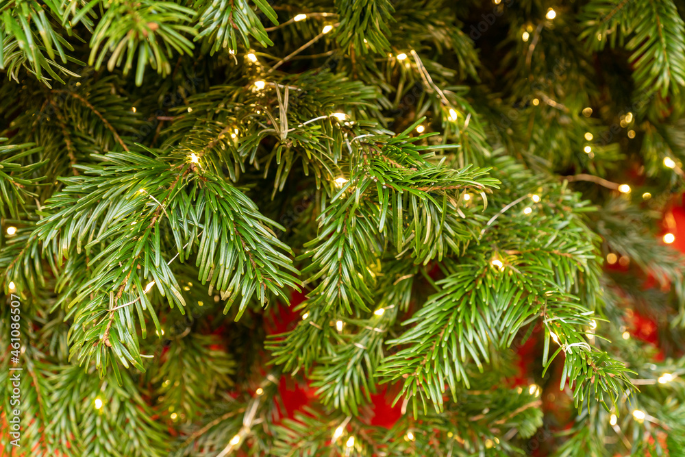 close up of christmas tree wit sparkling garland in golden colors. New year decoration