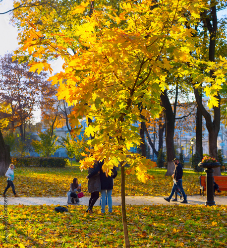 Fototapeta Naklejka Na Ścianę i Meble -  People leaves autumn park fall