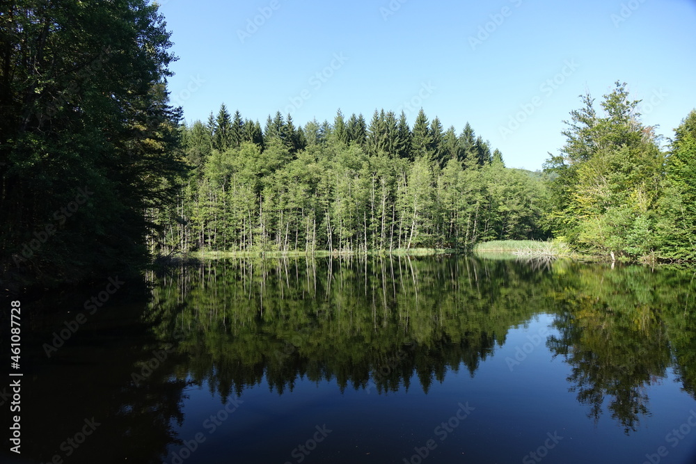 Fototapeta premium Woog (small lake) with reflections in late summer near Fischbach, Dahn Germany