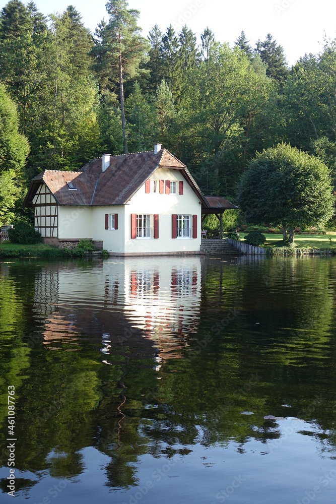 Small lake Sägmühlweiher with reflections in late summer, Ludwigswinkel, Fischbach, Germany