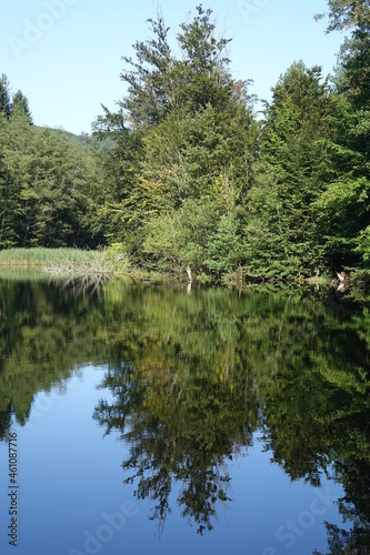 Woog (small lake) with reflections in late summer near Fischbach, Dahn Germany