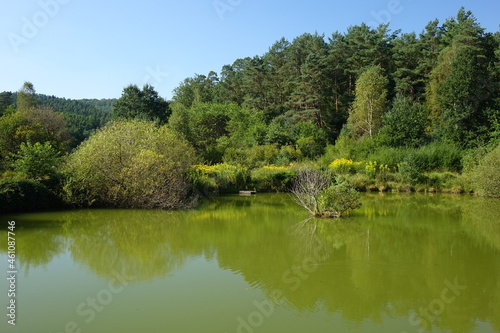 Woog (small lake) with reflections in late summer near Fischbach, Dahn Germany 