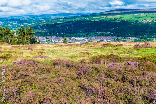 A view of blossoming heather on Ilkley moor above the town of Ilkley Yorkshire, UK in summertime