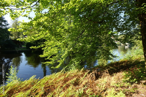 Small lake Sägmühlweiher with reflections in late summer, Ludwigswinkel, Fischbach, Germany