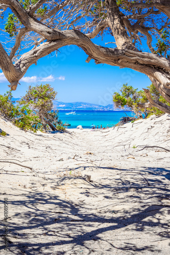 Exotic Chryssi island at the south of Crete, with the amazing Golden Beach, Greece photo