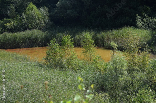Liether Kalkgrube - Schleswig-Holstein - Deutschland - Grüne Sommerlandschaft