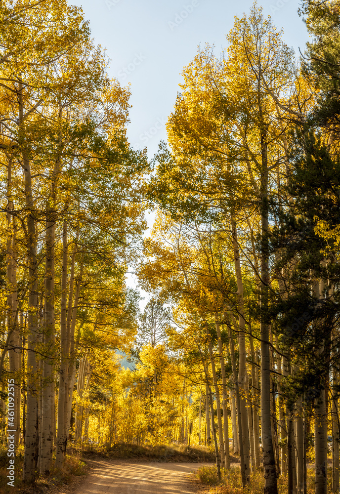 Scenery Autumn landscape in the Rocky Mountains of Colorado - Kenosha Pass