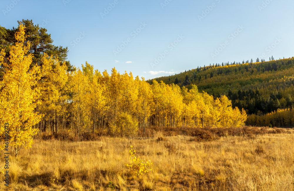Scenery Autumn landscape in the Rocky Mountains of Colorado - Kenosha Pass Scenery Autumn landscape in the Rocky Mountains of Colorado - Kenosha Pass