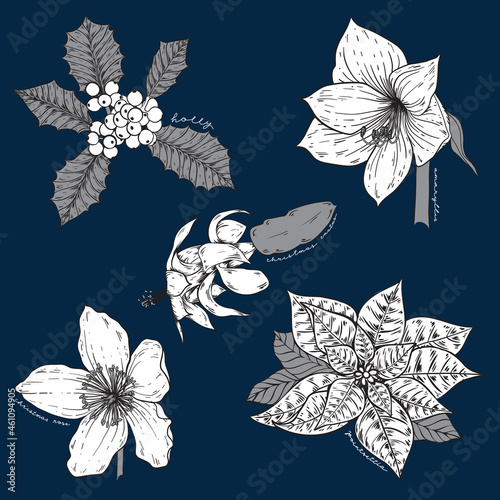 Set of five hand drawn botanical style holiday flowers in black and white on navy blue background