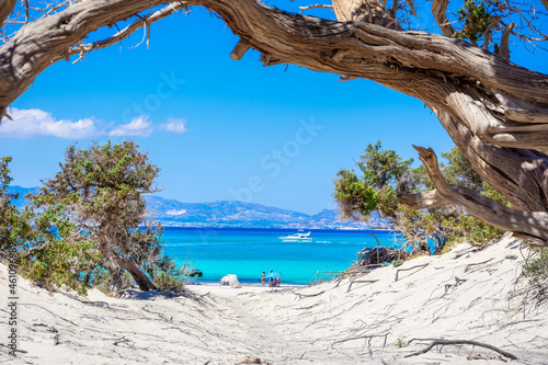 Fototapeta Naklejka Na Ścianę i Meble -  Exotic Chryssi island at the south of Crete, with the amazing Golden Beach, Greece