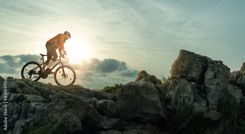 Mountainbiker fährt in den Bergen - obrazy, fototapety, plakaty 