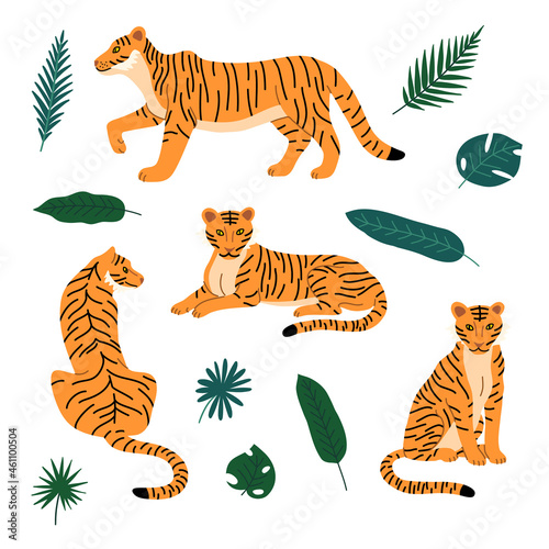 Cartoon Color Characters Tigers with Tropical Leaves Set Flat Design Style. Vector illustration of Wild Animal Tigers