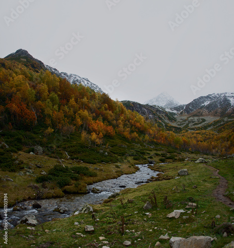 mountain landscape in autumn