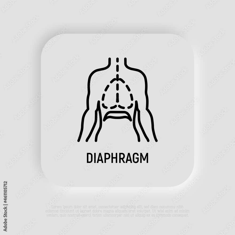 Fototapeta premium Diaphragm thin line icon. Respiratory system of human. Modern vector illustration.