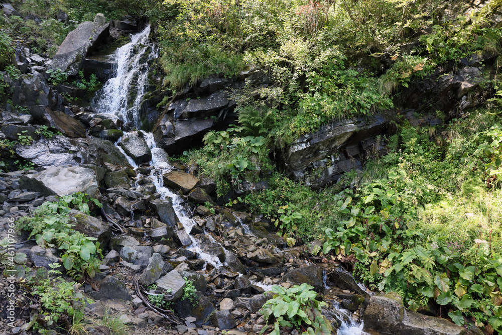 Picturesque view of mountain waterfall and green plants Picturesque view of mountain waterfall and green plants
