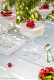 Photo of delicious panna cotta with red fruits, summer light dessert. Currant panna cotta .
