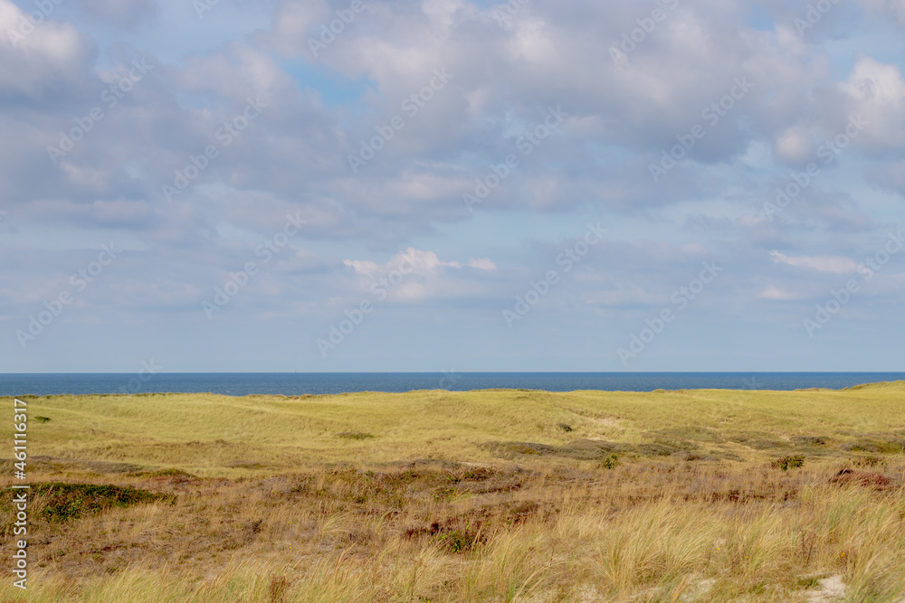 Autumn landscape, Overview from the dunes or dyke at Dutch north sea coastline with european marram grass (beach grass) along the dyke under blue clear sky, Noord Holland, Netherlands.