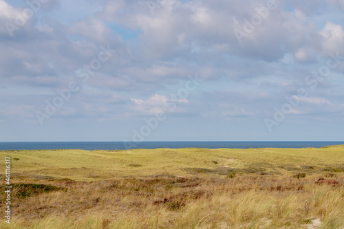 Autumn landscape, Overview from the dunes or dyke at Dutch north sea coastline with european marram grass (beach grass) along the dyke under blue clear sky, Noord Holland, Netherlands.