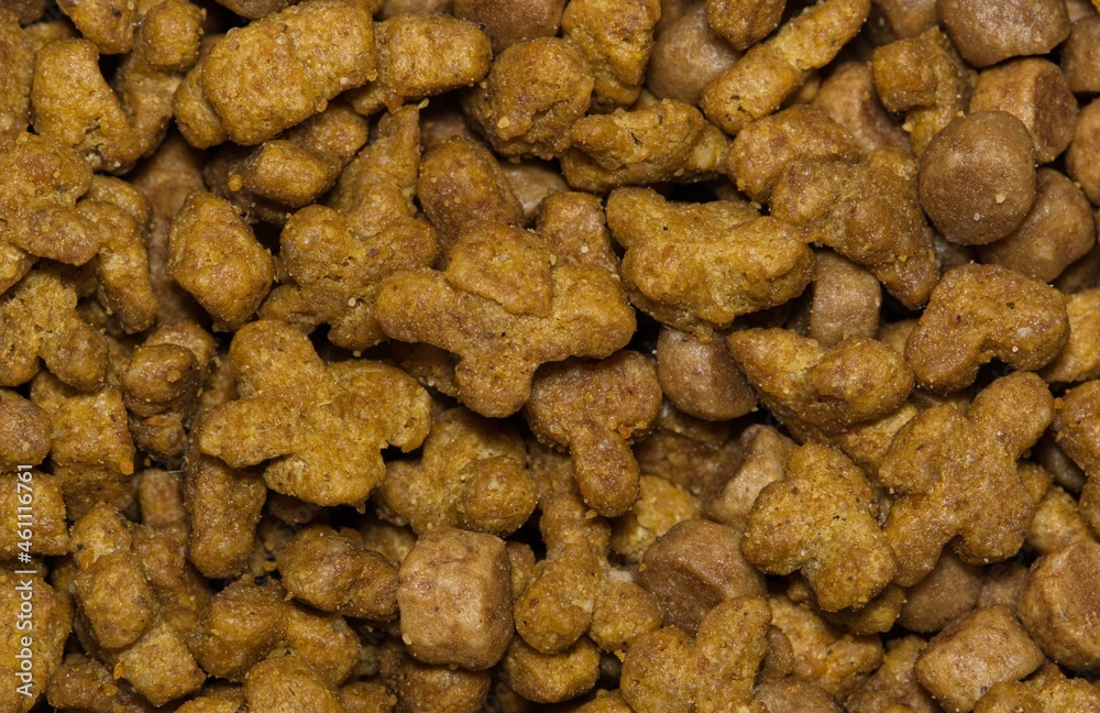 Dry cat food pieces with closeup macro details. Healthy feline pet nutrition, directly above full frame image. Dry cat food pieces with closeup macro details. Healthy feline pet nutrition, directly above full frame image.