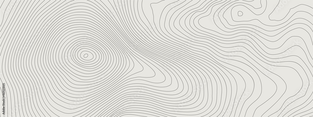 The stylized height of the topographic map contour in lines white colors. The concept of a conditional geography scheme and the terrain path. Ultra Wide Size. Vector illustration. The stylized height of the topographic map contour in lines white colors. The concept of a conditional geography scheme and the terrain path. Ultra Wide Size. Vector illustration.