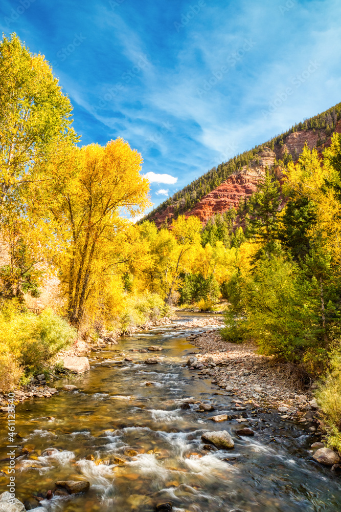 River Surrounded by Beautiful Yellow Aspen Trees in the Fall with Clear Blue Skies, Colorado