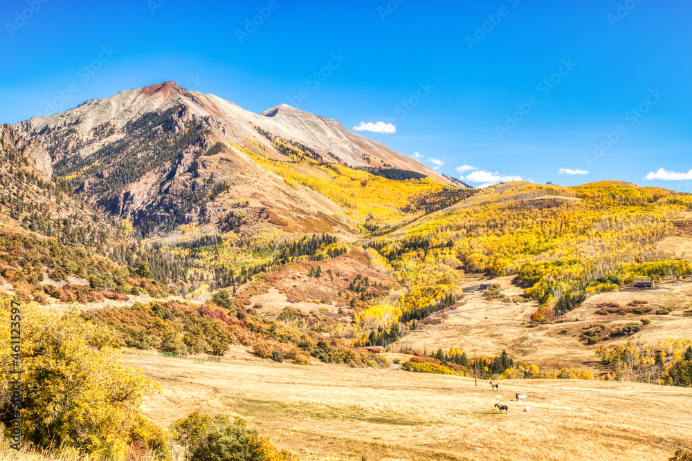 View from the Last Dollar Road Surrounded by Beautiful Yellow Aspen Trees in the Fall with Clear Blue Skies, Colorado