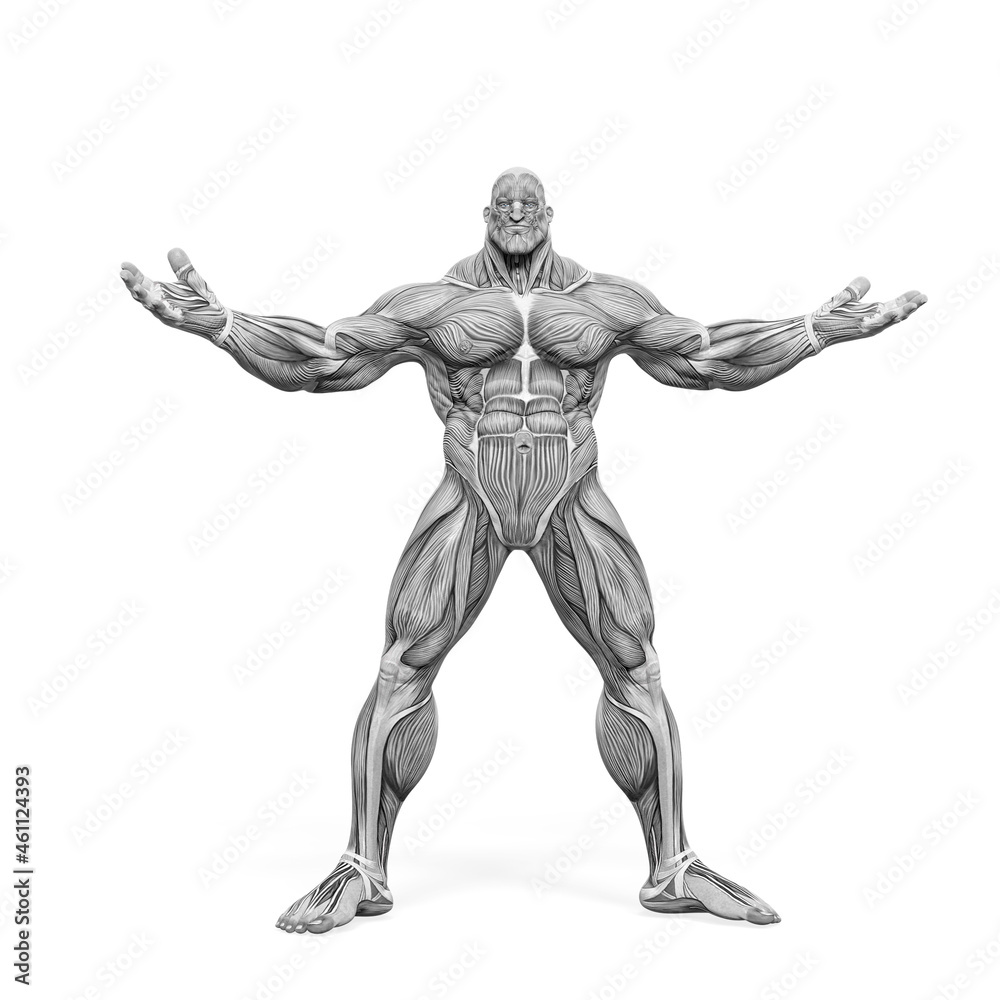 bodybuilder muscle maps with arms wid open in white background bodybuilder muscle maps with arms wid open in white background