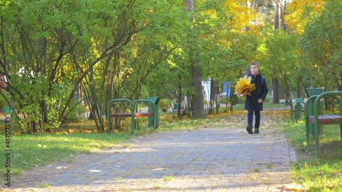 Wallpaper Mural Autumn in the Park in Sunny Weather. Schoolboy walks along the road with maple leaves Torontodigital.ca