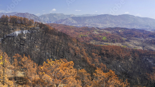 Turkey. Seleucia. Learbe. Manavgat. Taurus Mountains. Burnt forest. Summer fire 2021. View from above. Drone shooting