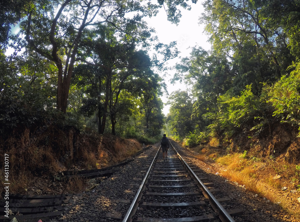 View of a railway passing through the Kulem jungle in Goa, India View of a railway passing through the Kulem jungle in Goa, India