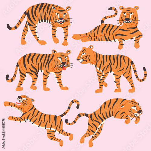 Set Chinese Tigers © Anna Drozdova