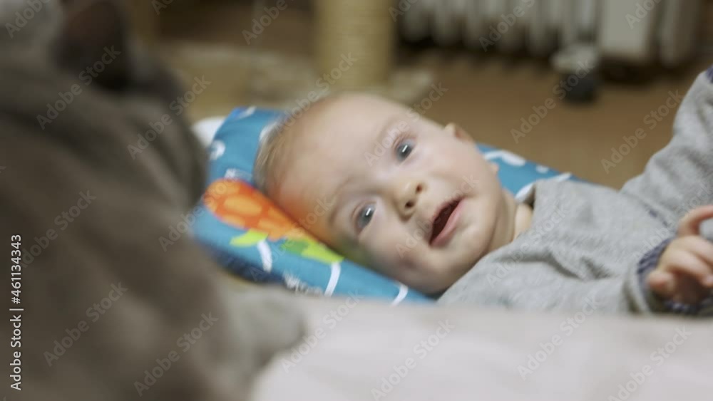 Cute baby boy looking at a domestic cat in admiration, six month old infant and gray domestic cat at home. High quality 4k footage Cute baby boy looking at a domestic cat in admiration, six month old infant and gray domestic cat at home. High quality 4k footage