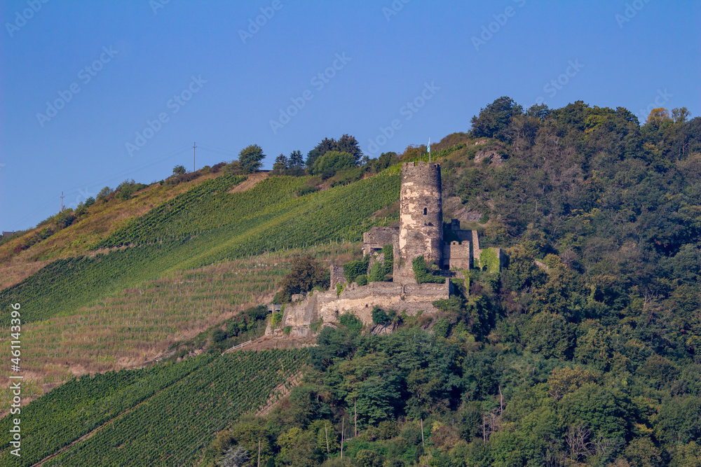 Fürstenberg Castle ruins landscape on the upper middle Rhine River near Oberdiebach, Germany. Also known as Burg Fürstenberg.