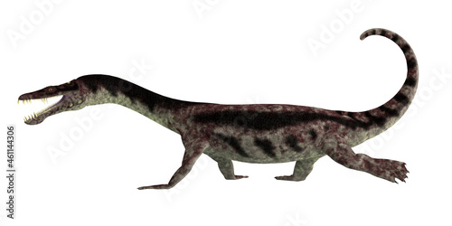 Nothosaurus Reptile Walking - Nothosaurus was a carnivorous marine reptile that lived in the seas during the Triassic Period. © Catmando