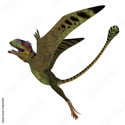 Peteinosaurus Reptile Rising - Peteinosaurus was a carnivorous pterosaur that lived in Italy during the Triassic Period. photo