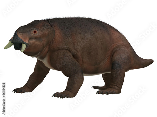 Placerias Triassic Dicynodont - Placerias was a herbivorous therapsid dicynodont that lived in Arizona, USA during the Triassic Period. © Catmando