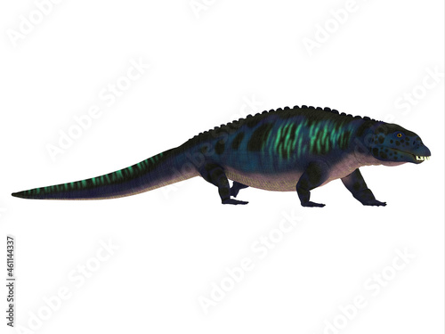 Placodus Reptile Walking - Placodus was a carnivorous marine reptile that lived during the Triassic Period Of Europe and China.