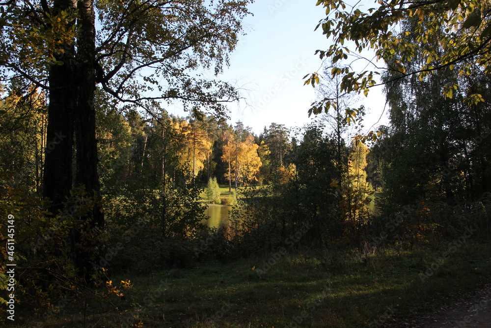 Fototapeta premium beautiful calm autumn landscape with colorful trees on river in sunny day with blue sky