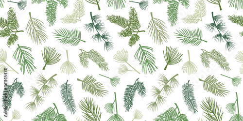 Winter pine and spruce vector seamless pattern, evergreen plant, tree and fir branch, cedar twig background, Christmas and New Year decoration, nature print. Holiday illustration