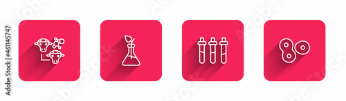 Set line Cloning, Plant breeding, Reagent bottle and Cell division with long shadow. Red square button. Vector