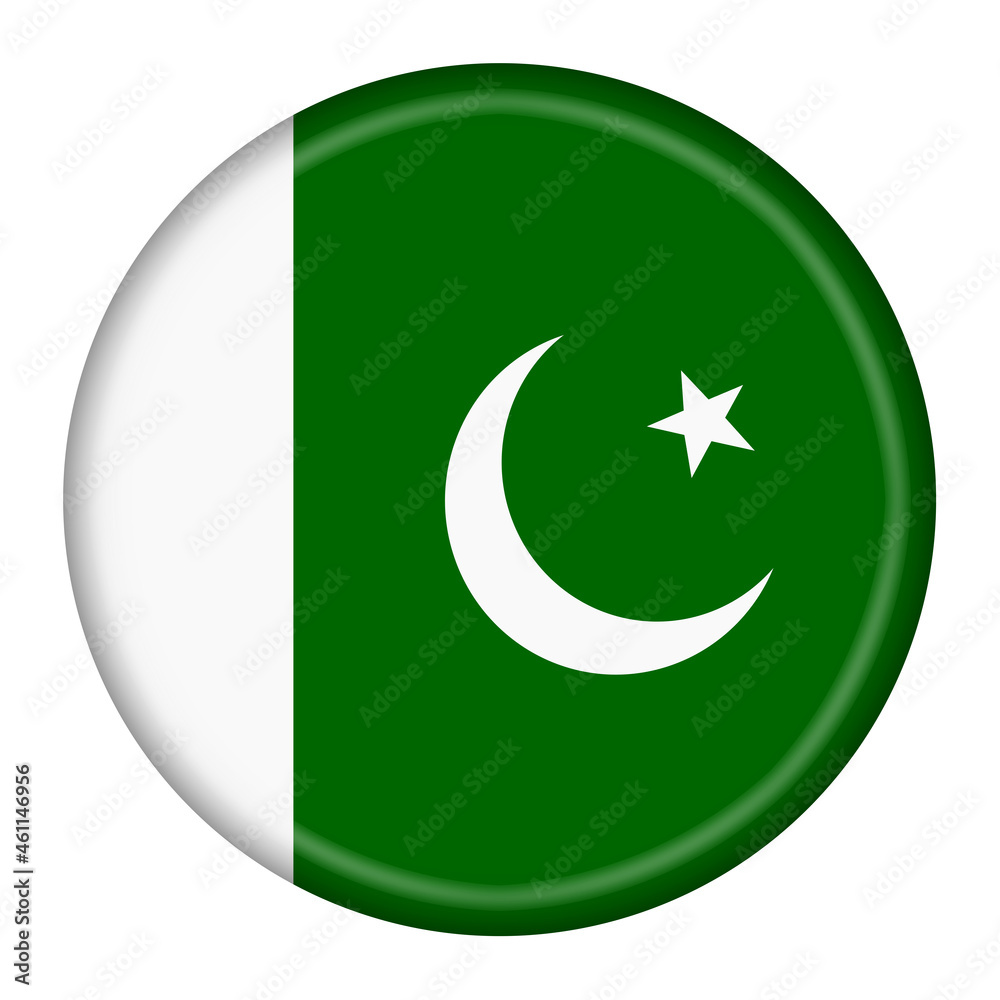 Pakistan flag button 3d illustration green white star Pakistan flag button 3d illustration green white star