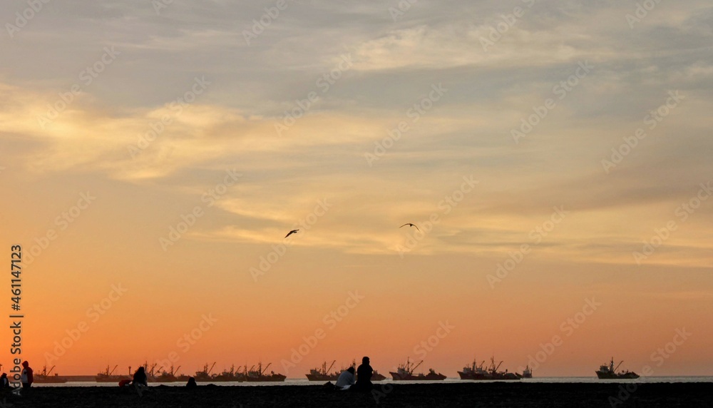 Naklejka premium seagulls on the beach