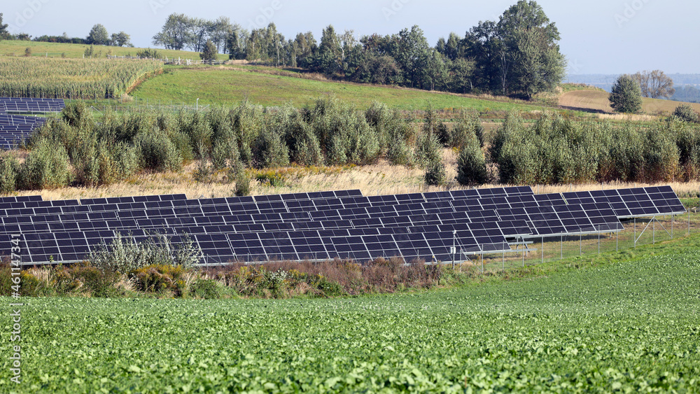 Farma ekologicznych paneli słonecznych na polanie.  - obrazy, fototapety, plakaty 