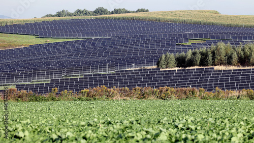 Farma ekologicznych paneli słonecznych na polanie.  photo